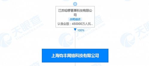 哈啰出行關(guān)聯(lián)公司注冊資本增至45億人民幣，信息系統(tǒng)集成服務(wù)成發(fā)展新引擎